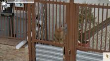 Google really cares for identity security (picture from Street View)