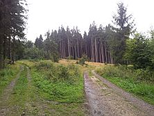 Dubeň (613m)