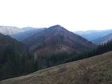 Višňovská dolina - Turská dolina - Dedová (872m)