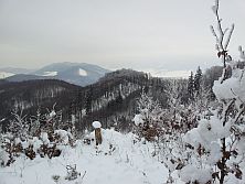 Žibrid (860m)