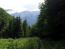 Belianska dolina (Malá Fatra)