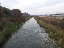 Prešov (pondelok)