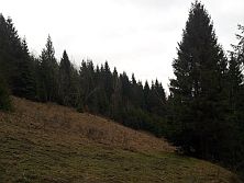 Klubina