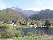Stankovany