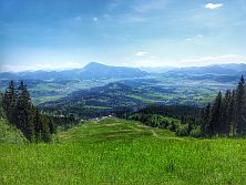 Kubínska hoľa (1394m)