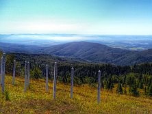 Kojšovská hoľa (1246m)