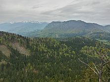 Skríželná skala (954m)